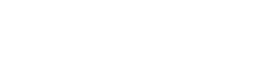 skinvee
