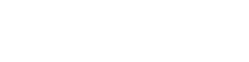 skinvee